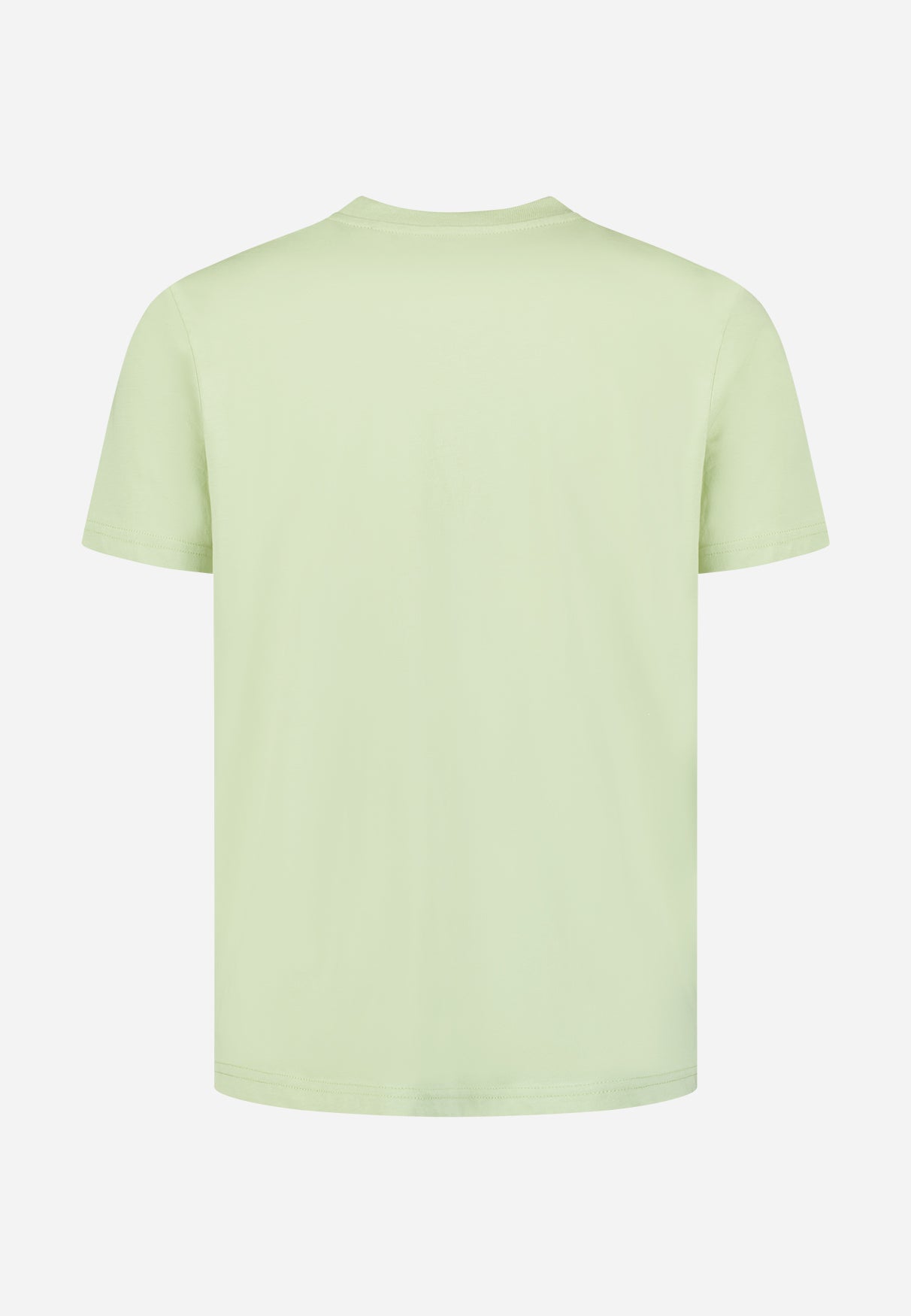 Einfarbiges Basic-T-Shirt mit Rundhalsausschnitt | Green