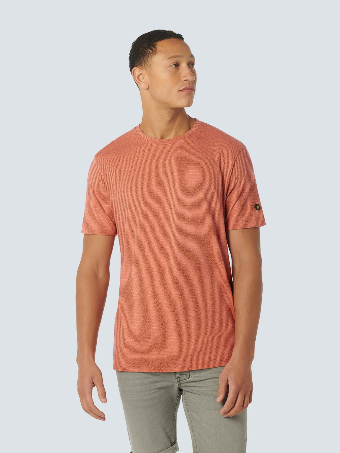 T-Shirt Crewneck Melange With Stripes | Melon