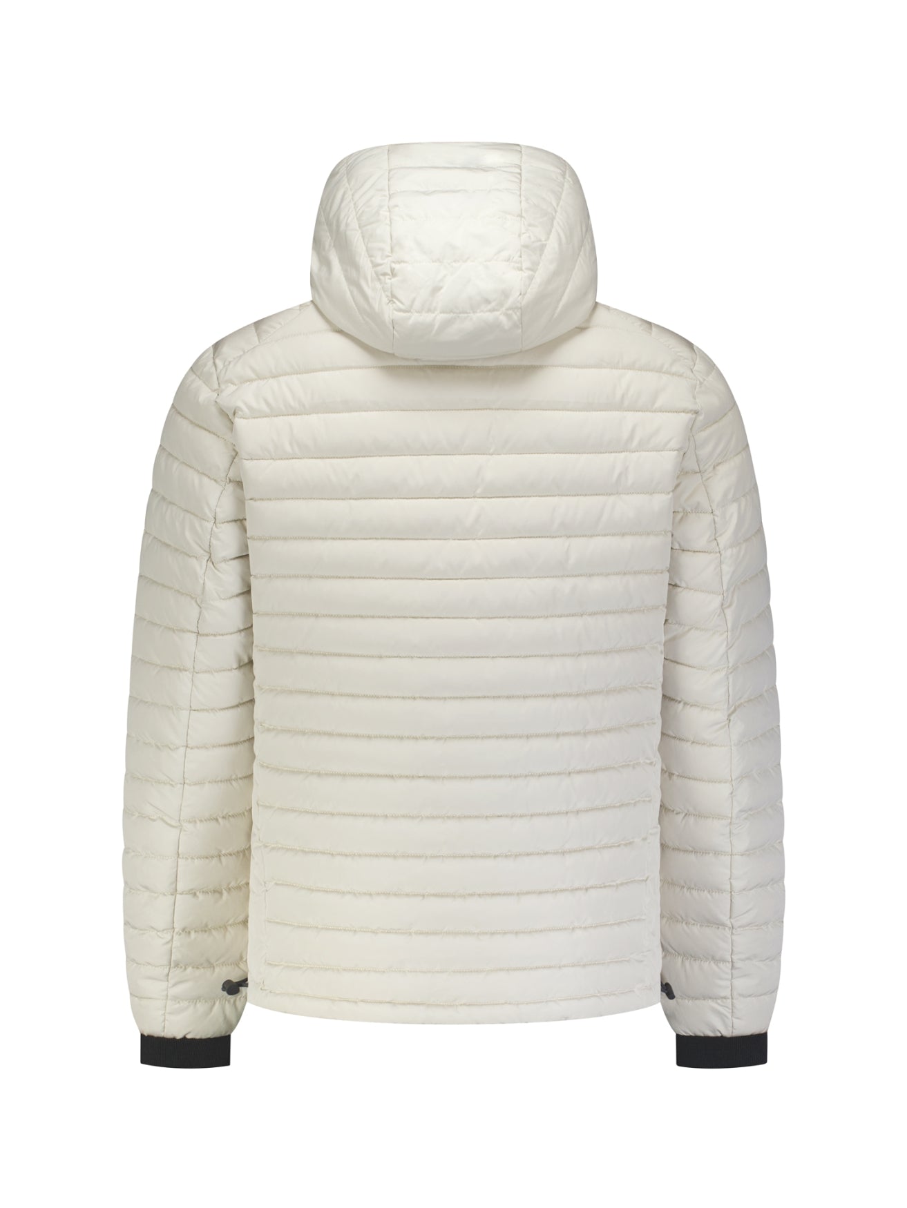 Leicht Gepolsterte Jacke Mit Kapuze | Stone