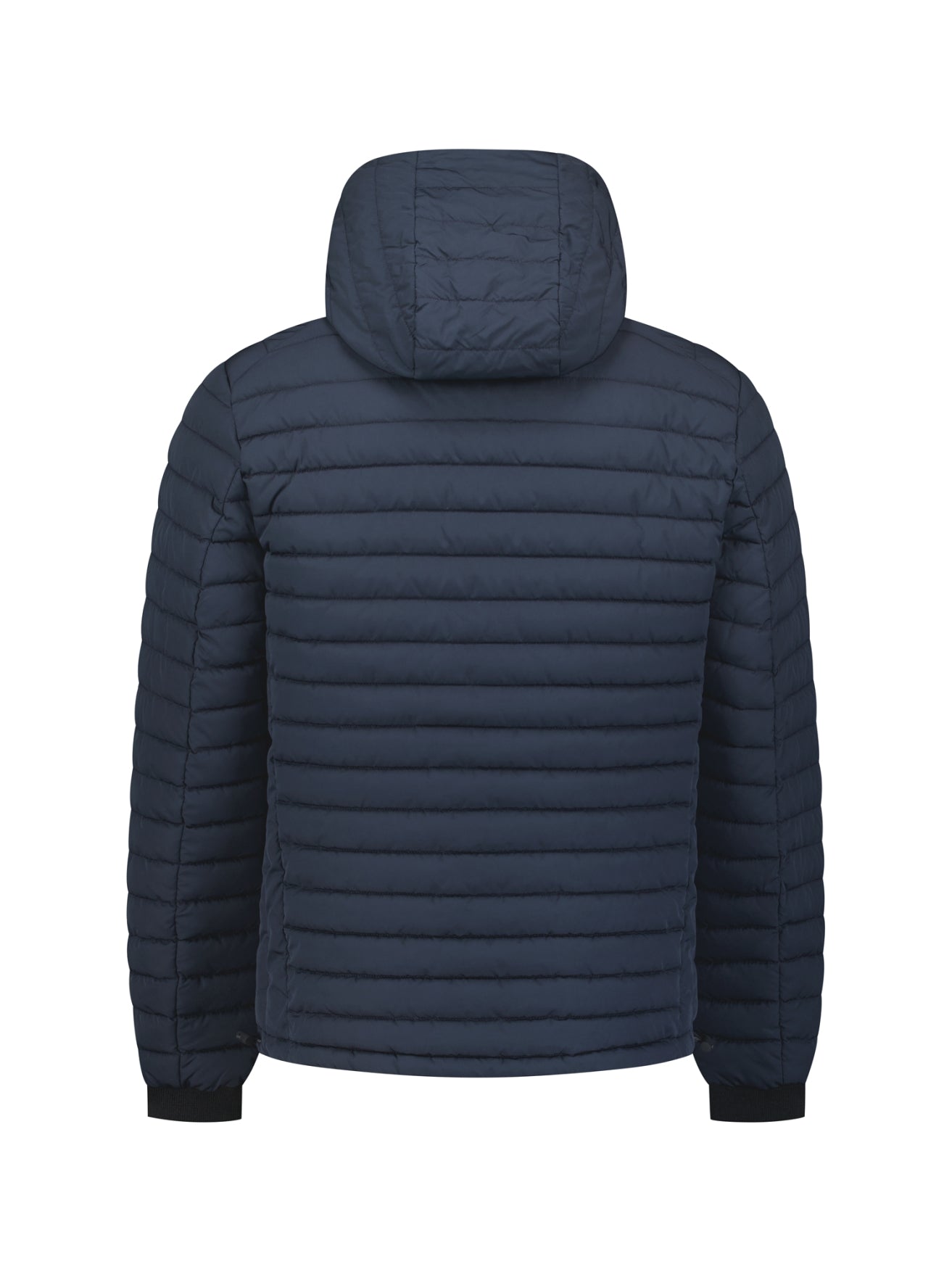 Leicht Gepolsterte Jacke Mit Kapuze | Night
