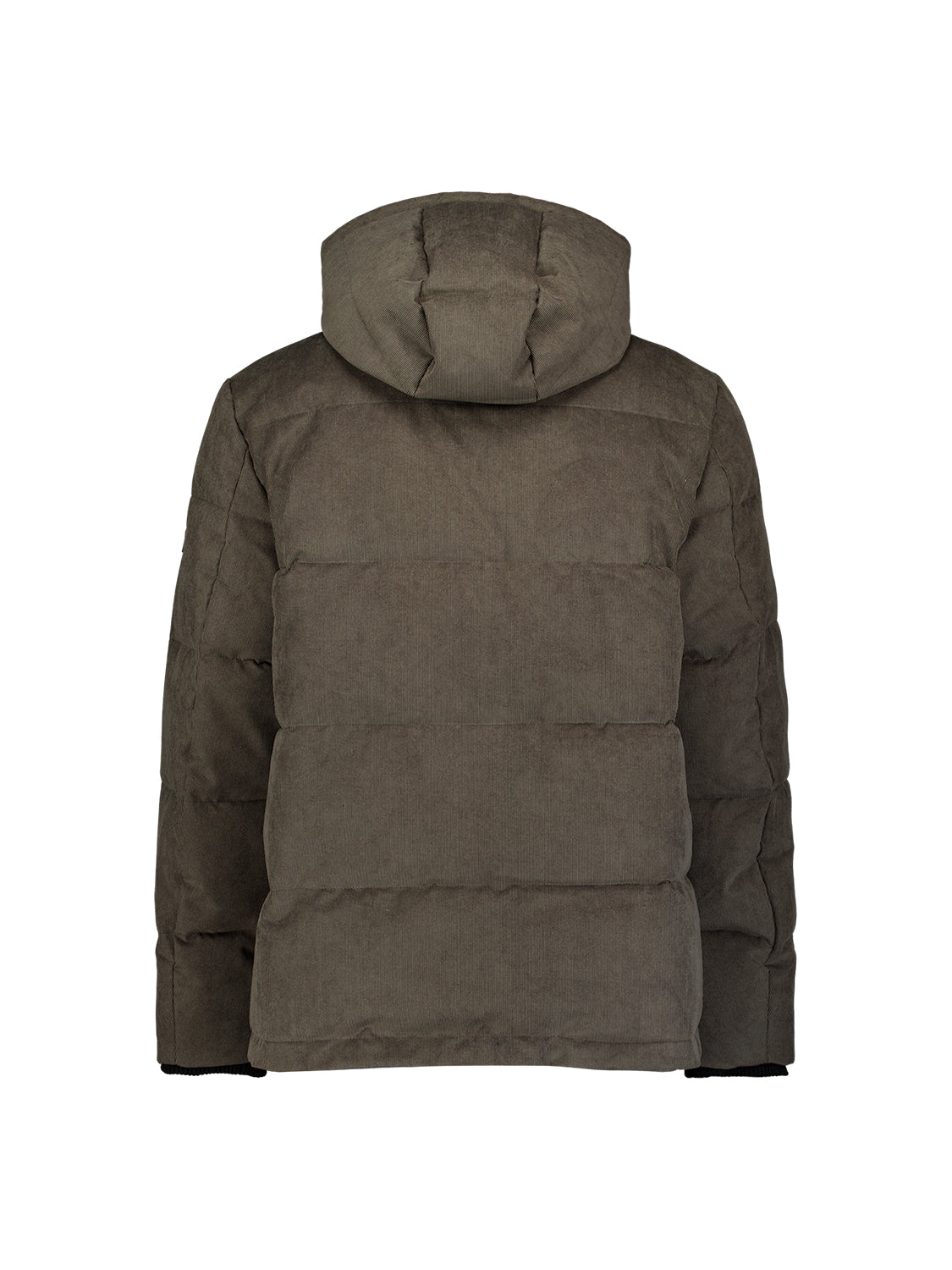 Corduroy Hooded Jacket | Army